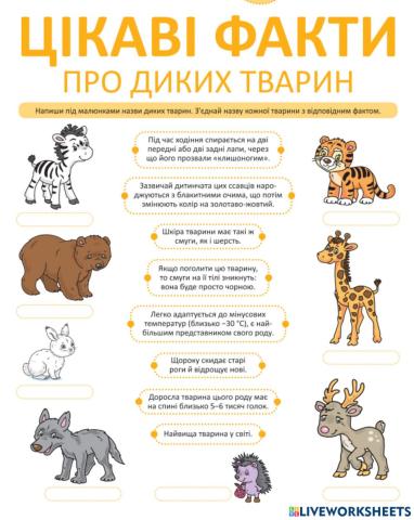 Цікаві факти про звірів