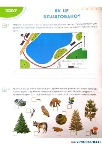 Я досліджую світ