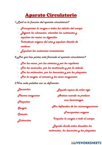 Aparato Circulatorio