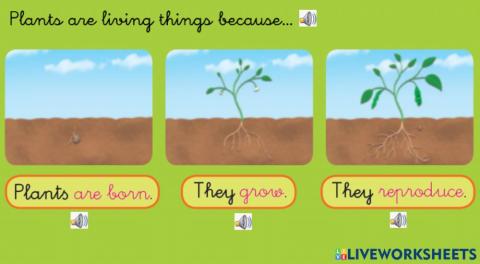 Plants are living things