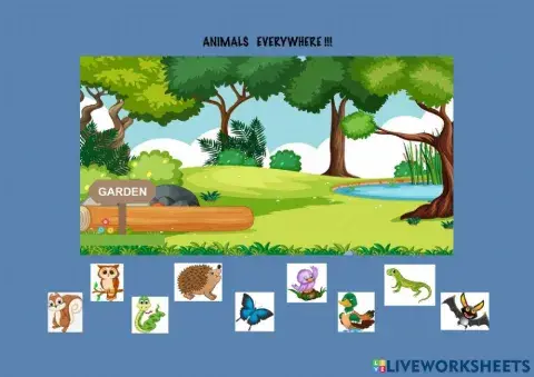 Animals everywhere