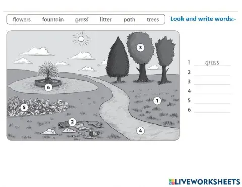 Grade 4 unit 7 Review