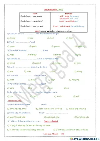 Mega goal 4 - unit 3 lesson 11 wishes