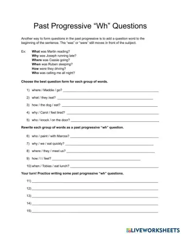 Past Progressive -Wh- Questions