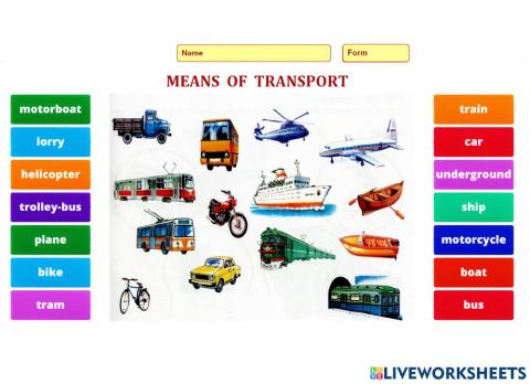 Means of Transport