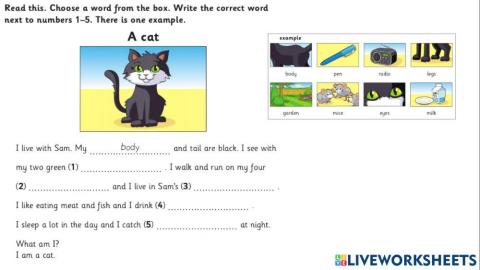 Starters, Reading and Writing Part 4