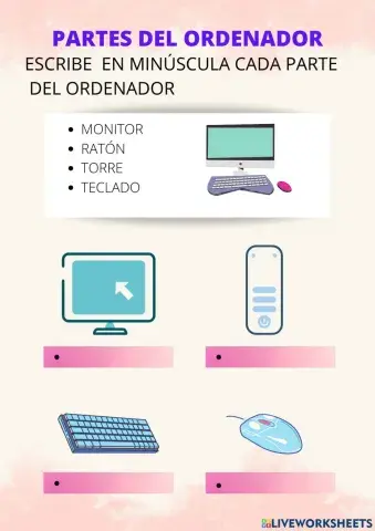 Partes del ordenador 