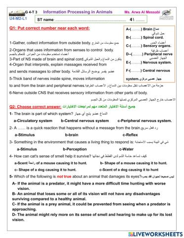 Information Processing in Animals