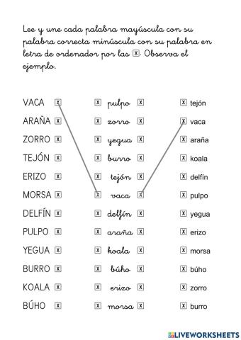 Une con flechas las palabras con diferentes tipos de letras