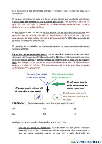 Ficha 1. Genética mendeliana
