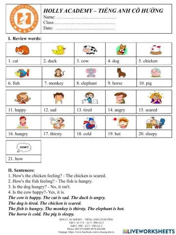 Emotions - Feelings -L5