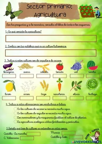 Sector Primario: Agricultura