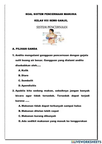 Soal Sistem Pencernaan Kelas 8