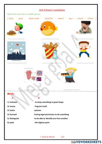 Mega 4 - unit 4 lesson 1 vocabulary