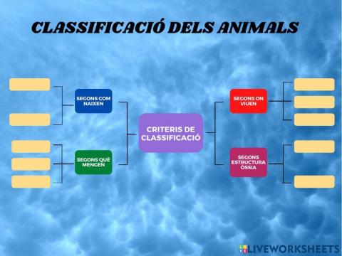 Classificació dels animals