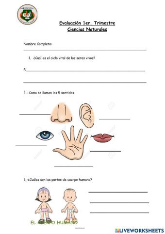 Evaluación Ciencias naturales 1er trimestre