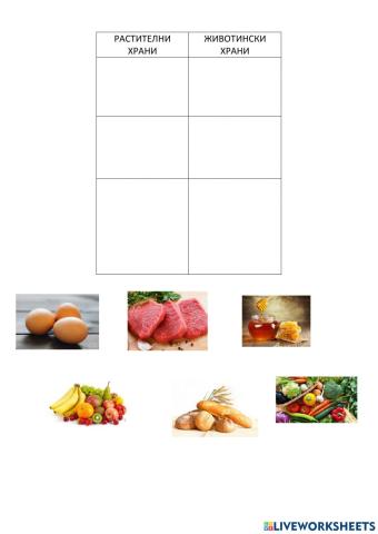 Растителна и животинска храна