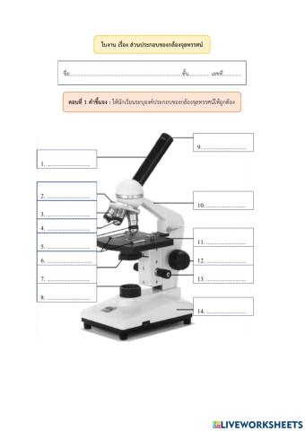 ใบงาน เรื่อง ส่วนประกอบของกล้องจุลทรรศน์