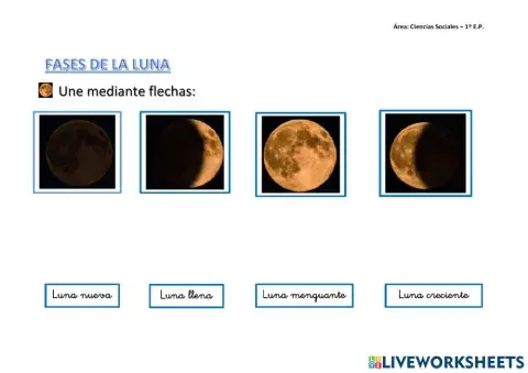 Fases de la luna