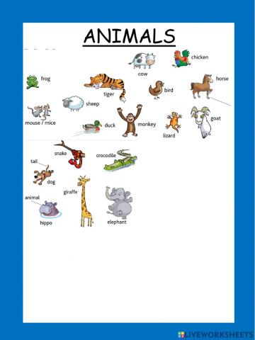 Animals