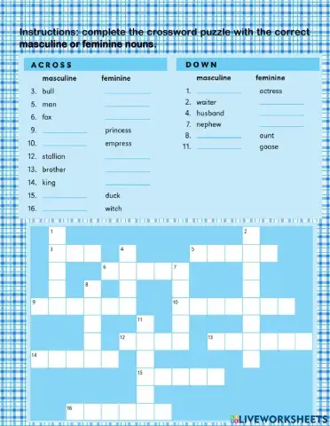 Femenine and masculine nouns practice