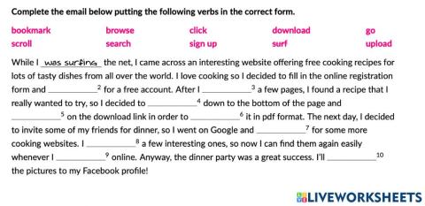 Vocabulary about Surfing the net