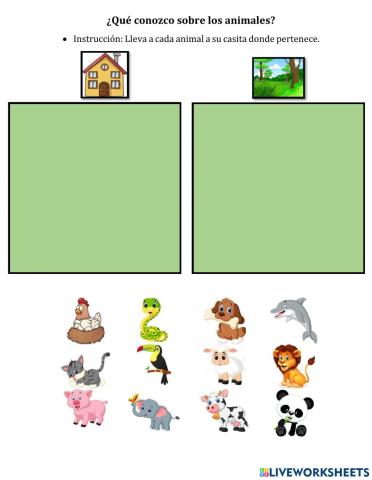 Animales domésticos