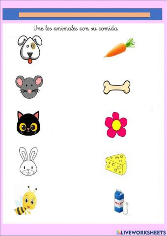 Animales y su comida