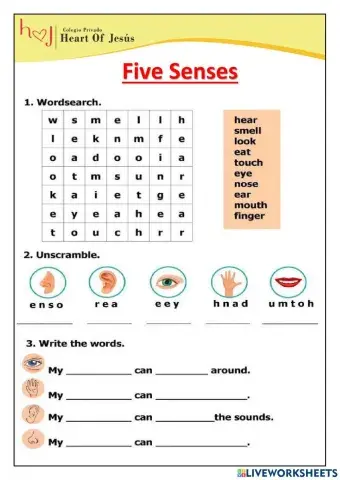 Five Senses