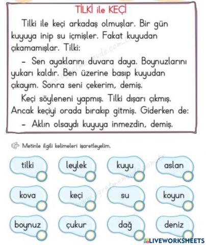 Oku Anla ve İşaretle