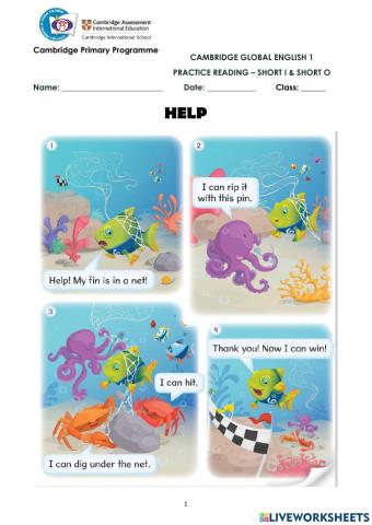 CGE1-Review short o and short i