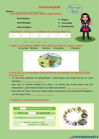 Niveles de Organización