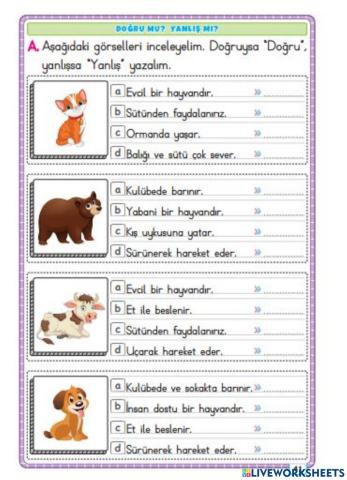 Doğru mu? Yanlış mı?