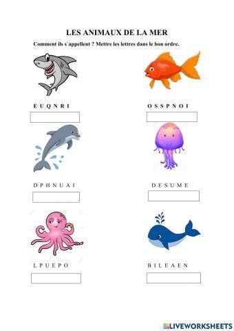 Les animaux de la mer