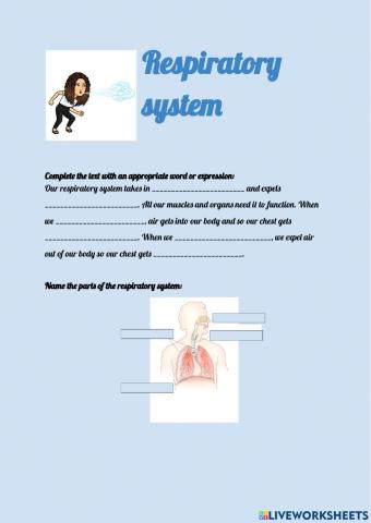 Respiratory system