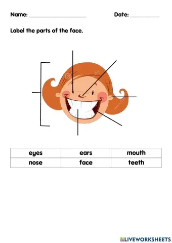 Parts of the face