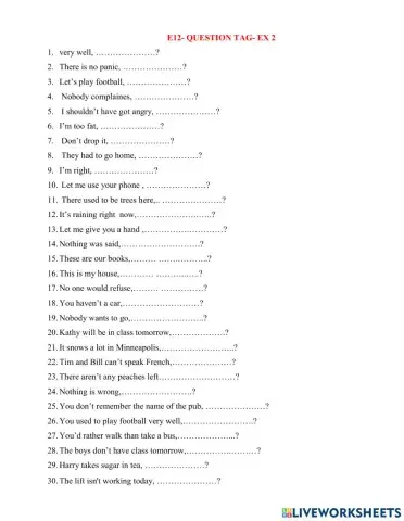 E12-question tag-ex 2