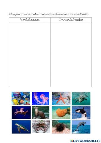 Animales marinos vertebrados e invertebrados