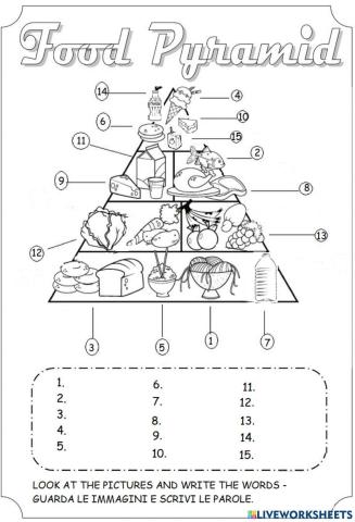 Food Pyramid