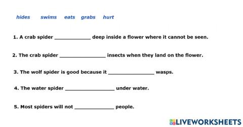 Verbs Grade 3