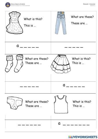 What We Wear Every Day