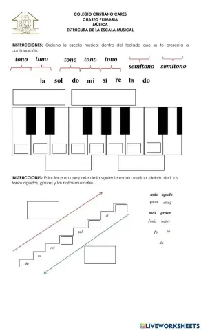 Estructura de la escala musical