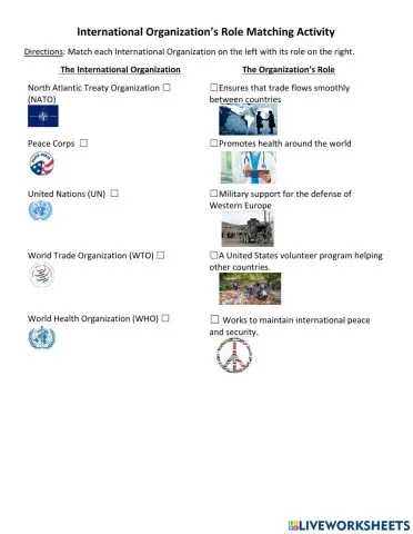 Unit 9B International Organization’s Role Matching Activity