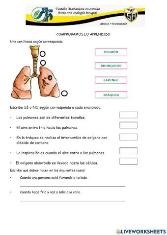 Comprobamos lo aprendido