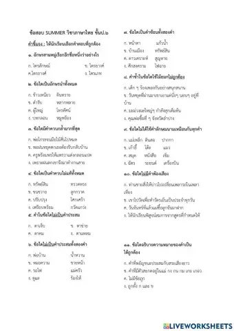 สอบไทย  Summer ป.6