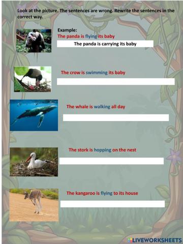 Animals verbs