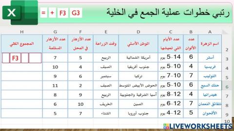 الاكسل نشاط المعادلات