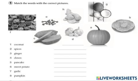 Match the words with the correct pictures: