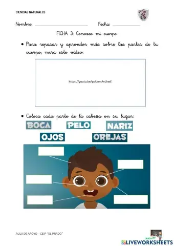 Ficha 3 Conozco mi cuerpo-1EP-Ciencias Naturales