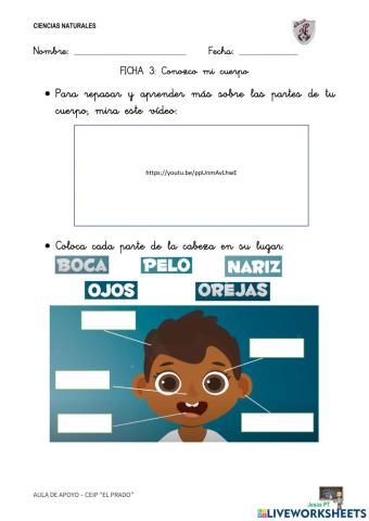 Ficha 3 Conozco mi cuerpo-1EP-Ciencias Naturales
